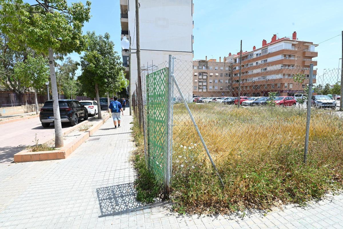 Desde que se quitaron las vallas publicitarias está lleno de malezas.