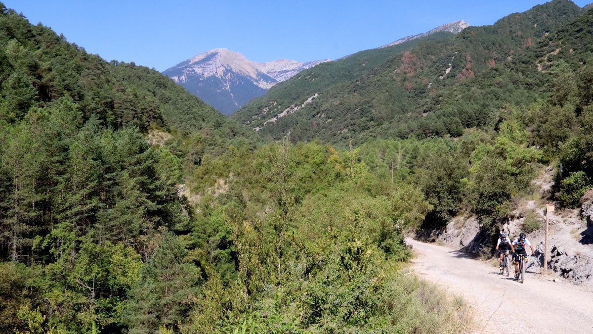 Dos ciciclistes en una pista forestal al parc del Cadí