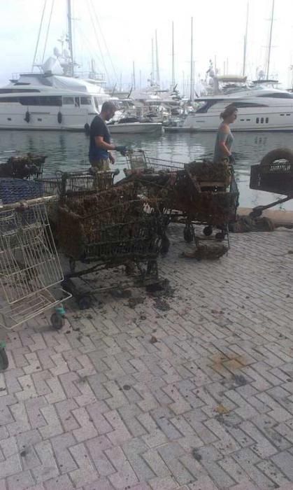 Sacan toneladas de basura de la bahía