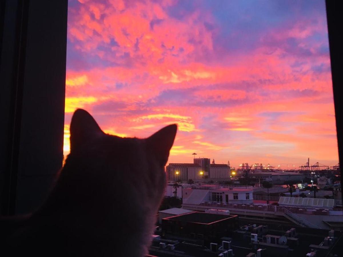 Amanecer en Las Palmas de Gran Canaria (08/12/18) Amanecer en Las Palmas de Gran Canaria (08/12/18)