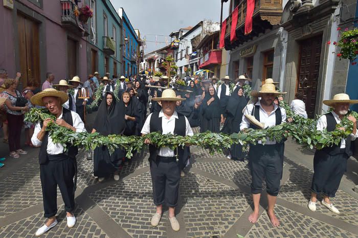 Carretas y grupos en la romería del Pino