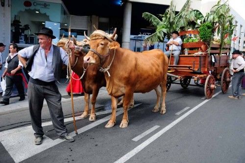 ctv-gep-romeria9