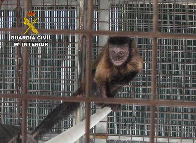 Inspección en un zoológico de s'Aranjassa