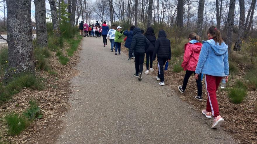 Los niños del CEIP Monte Gándara de El Puente de Sanabria participan en la carrera solidaria a favor de «Save the Children» para recaudar dinero y luchar contra la pobreza infantil en España. | Araceli Saavedra