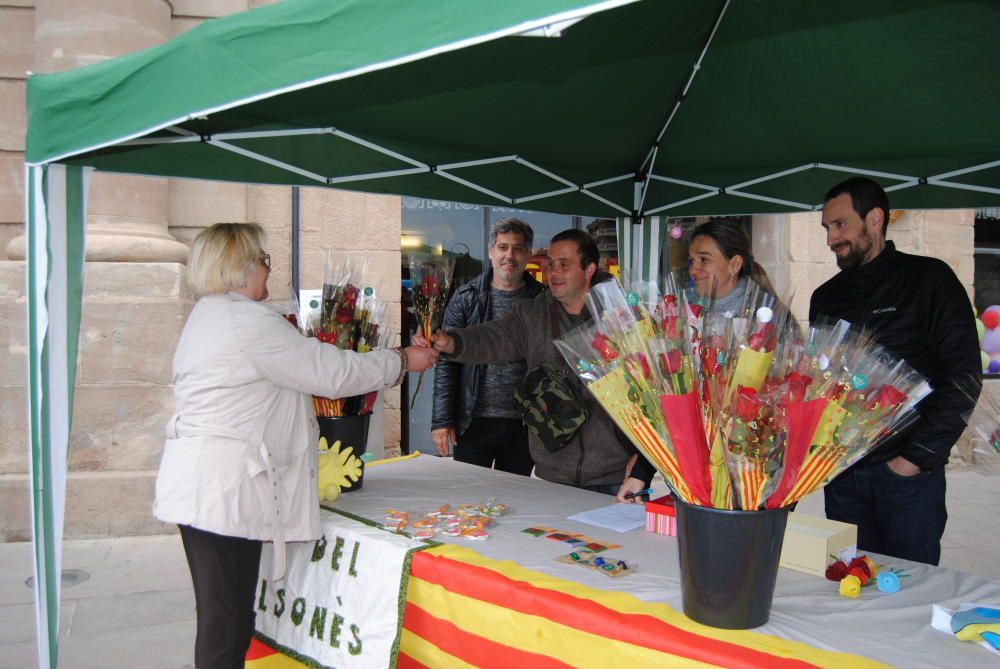 Sant Jordi 2019 a Solsona