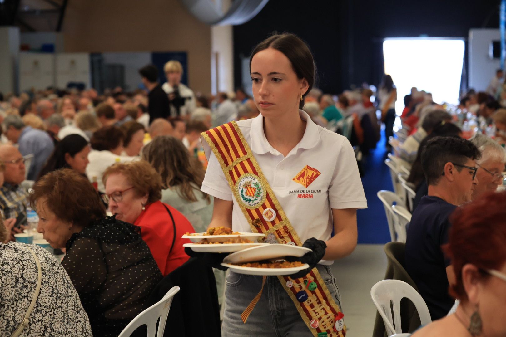 FOTOGALERÍA I Las imágenes de la sexta jornada (miércoles) de las fiestas patronales de Sant Pasqual en Vila-real