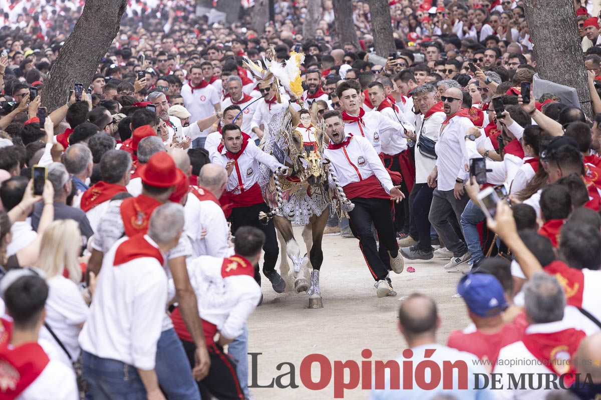 Así se ha vivido la carrera de Los Caballos del Vino en Caravaca