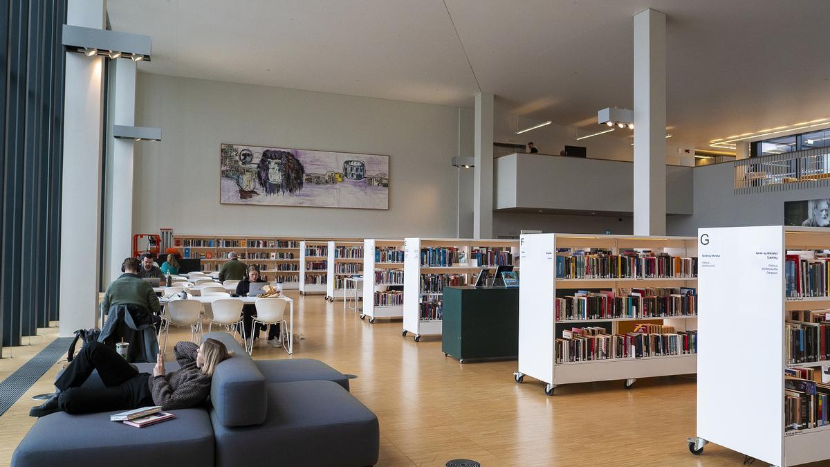 Biblioteca Stormen.