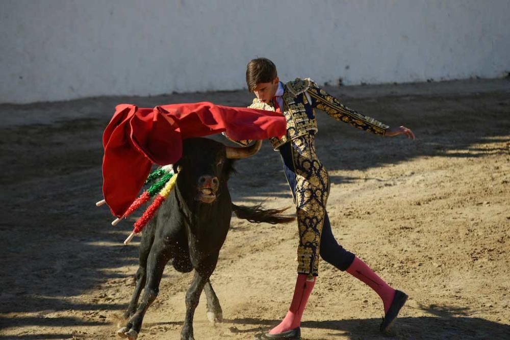 Nueva corrida de toros