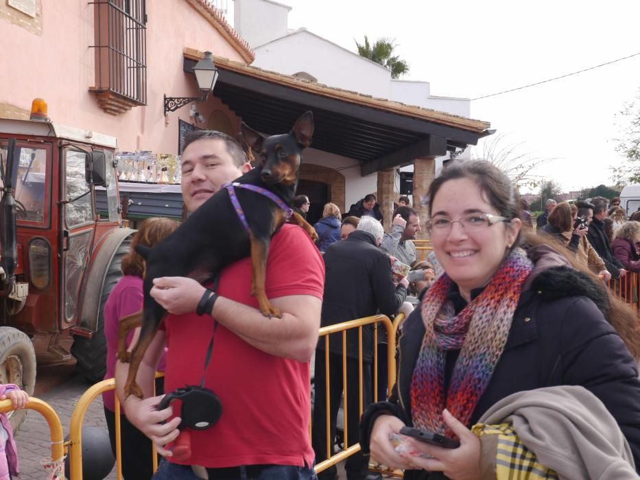 Fiesta de Sant Antoni Abad de Vera