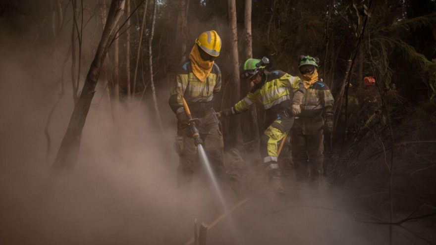 Twenty evicted, some reactivation and landslides in the north of the Island