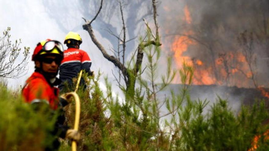 Dos bombero con una manguera en el incendio declarado hoy en el término municipal de La Torre de les Maçanes (Alicante), donde trabajan catorce medios aéreos (8 helicópteros y 6 aviones), cinco brigadas, cinco autobombas, siete vehículos de bomberos y voluntarios y también se ha movilizado una sección de la Unidad Militar de Emergencias (UME) para la extinción del fuego, que afecta a pinar adulto.