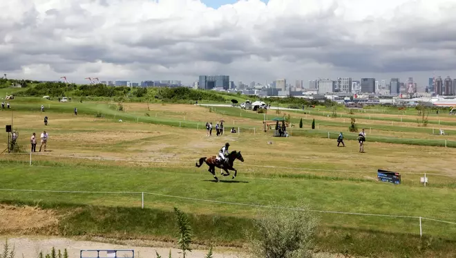 El Sea Forest Cross Country Course.jpg