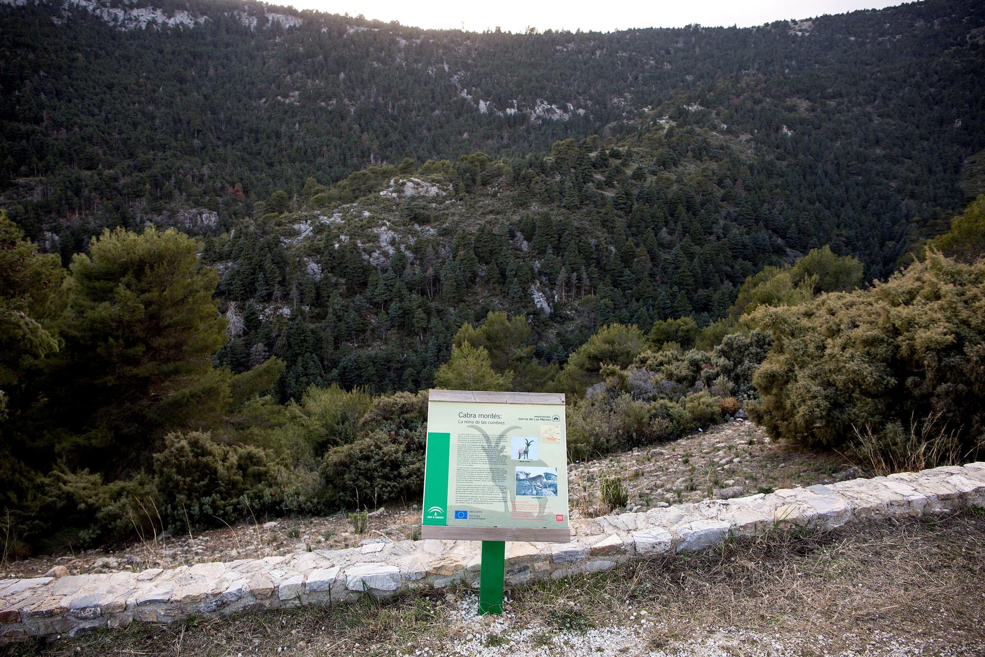 Sierra de las Nieves en Málaga.