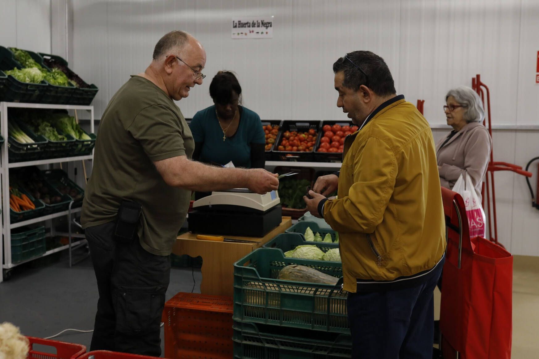 Mercado de Abastos provisional