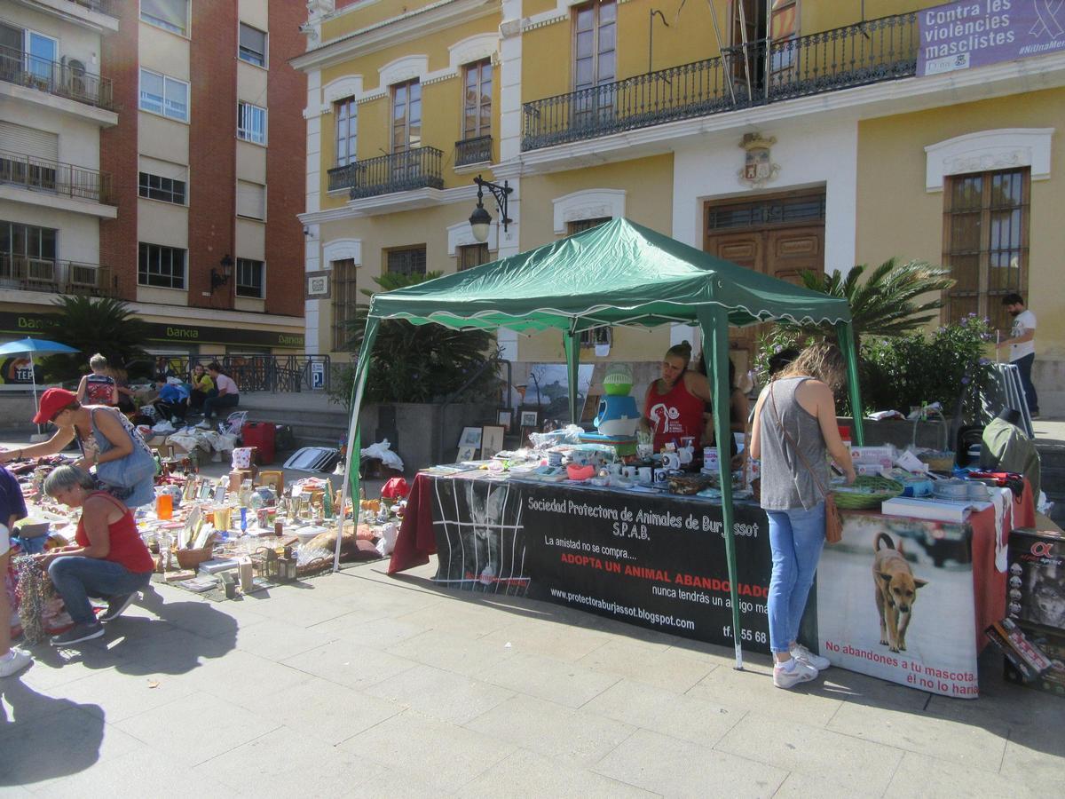 La Protectora de Animales en una de sus actividades de sensibilización.