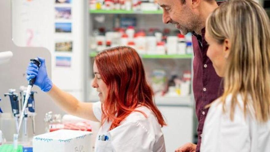 Das Osteopontin-Protein, ein neuer Weg zur Verbesserung der Brustkrebsbehandlungen
