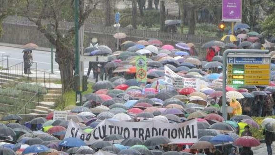 Un momento de la marcha.