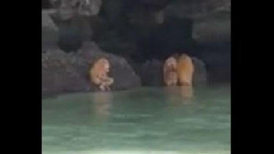 ¿Qué son esas extrañas criaturas aparecidas en una playa de Tailandia?