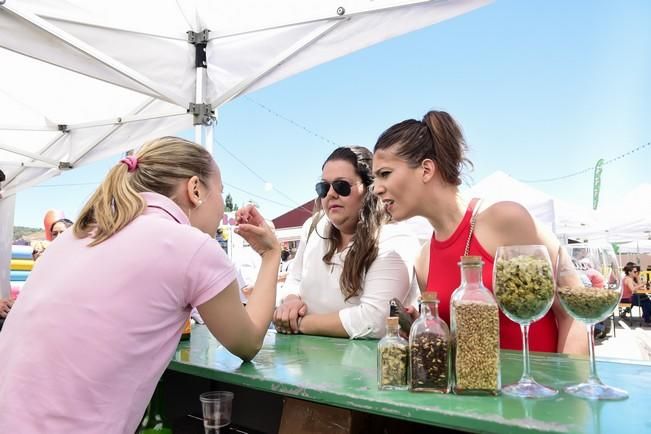 Feria de la Cerveza en Santa Brigida por la ...