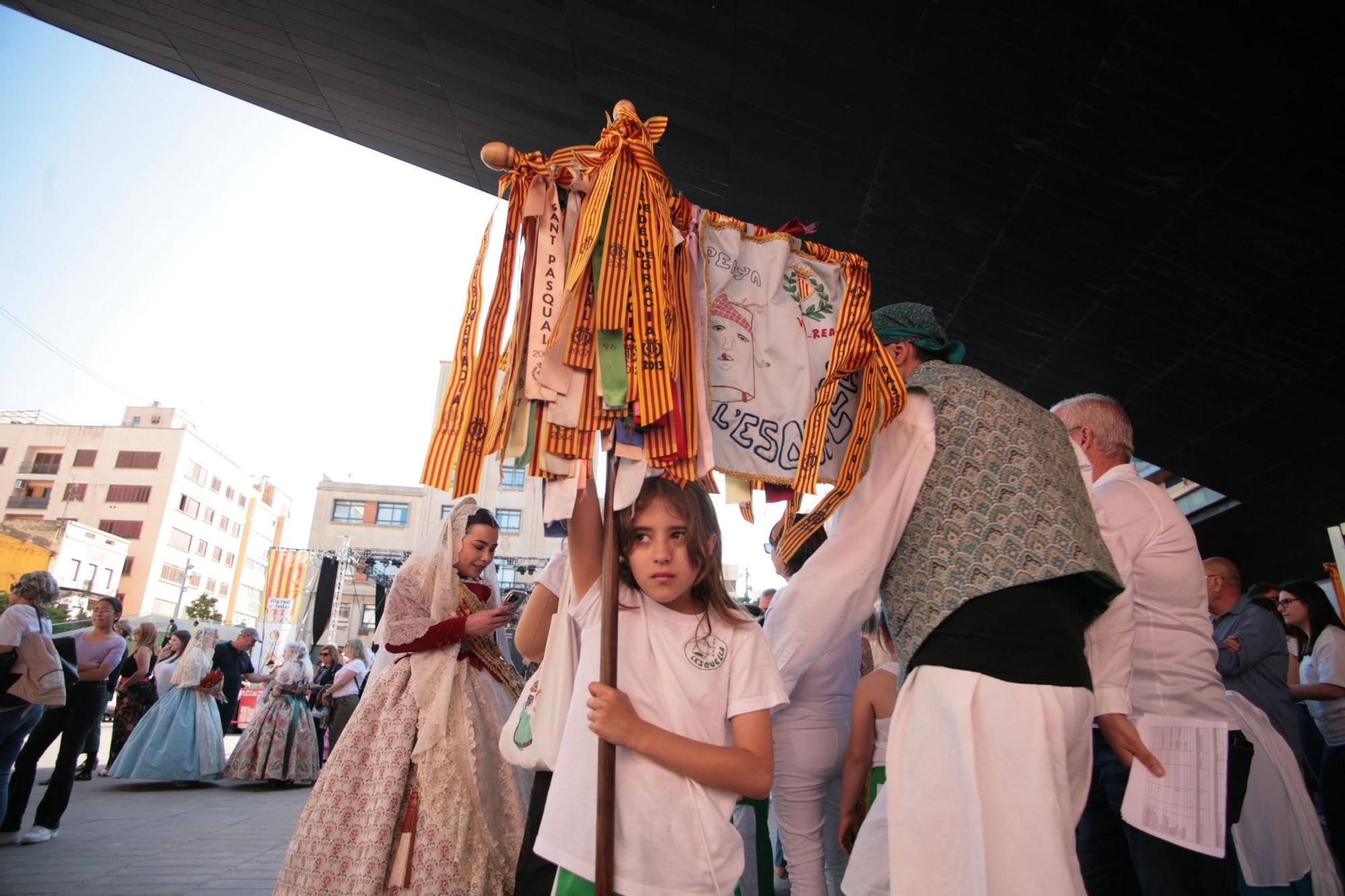 Galeria de fotos de l'ofrena de flors a Sant Pasqual en Vila-real
