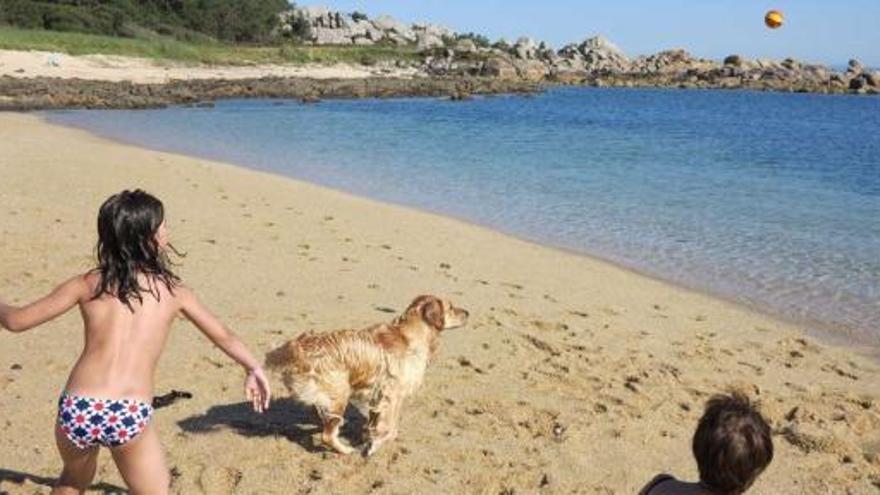 Una de las playas grovenses en las que está permitido acudir con perros y dejar que se bañen, ayer.  // Muñiz