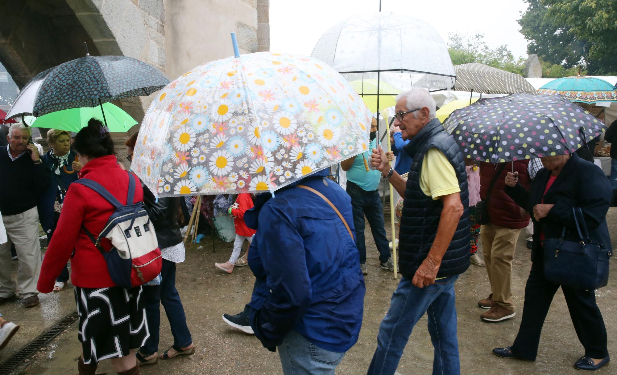 Vigo celebra un San Roque pasado por agua