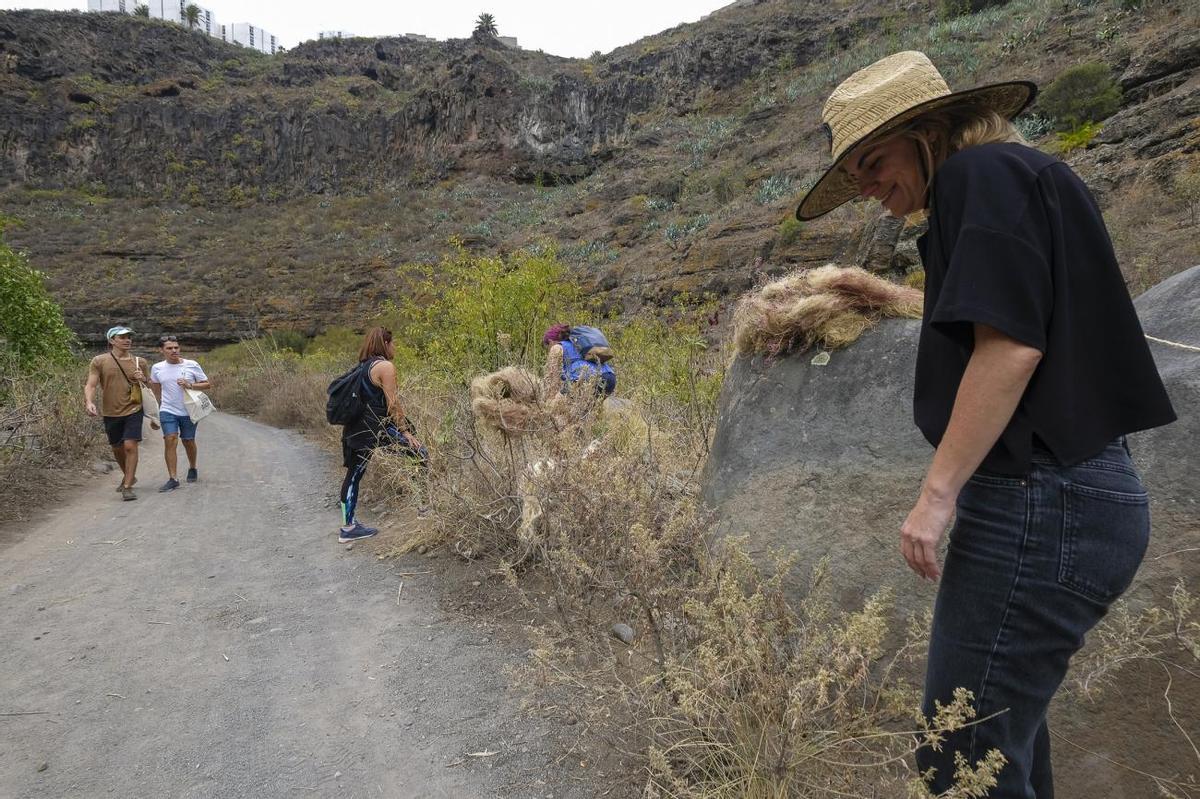 Paseo por el barranco con la nueva app Kleos Guiniguada Paseo por el barranco con la nueva app Kleos Guiniguada