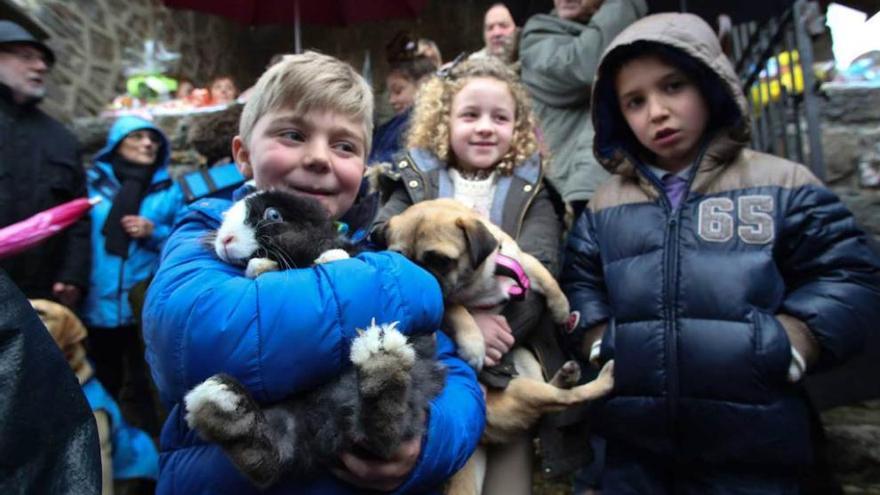 Un grupo de niños, ayer, en la ermita de Taborneda, con sus mascotas.