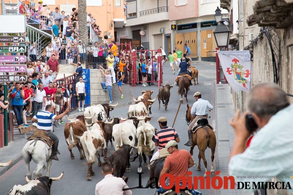 Último encierro en las Fiestas de Moratalla