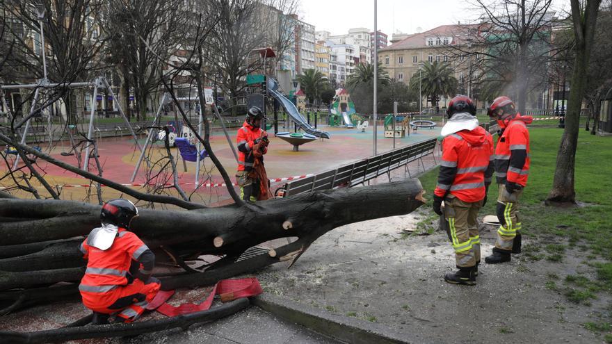 La borrasca &quot;Louis&quot; deja en Gijón una veintena de incidencias: árboles arrancados y caídas de cascotes
