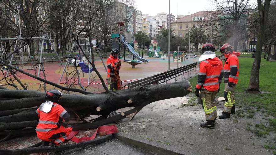 Los Bomberos de Gijón durante una intervención en el paseo de Begoña a consecuencia del temporal
