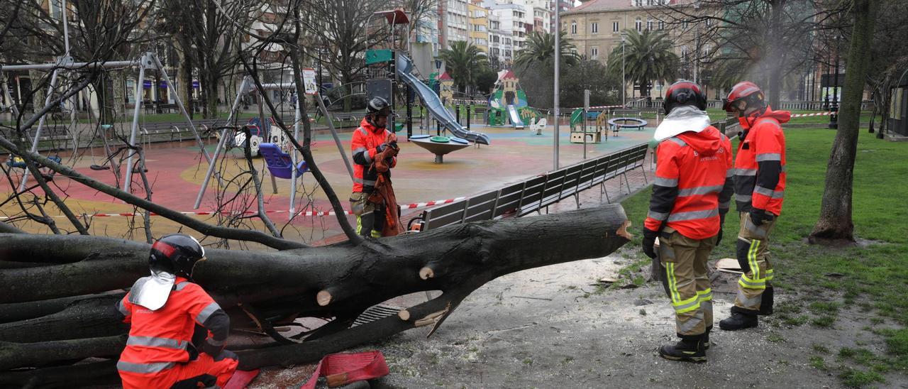 Los Bomberos de Gijón durante una intervención en el paseo de Begoña a consecuencia del temporal
