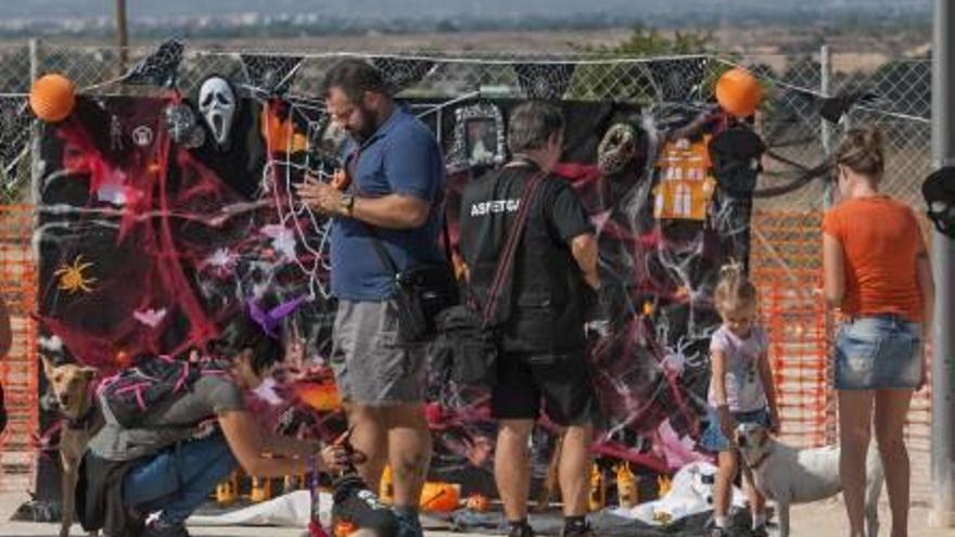 Diferentes momentos de la fiesta celebrada en el parque canino de Gran Alacant.