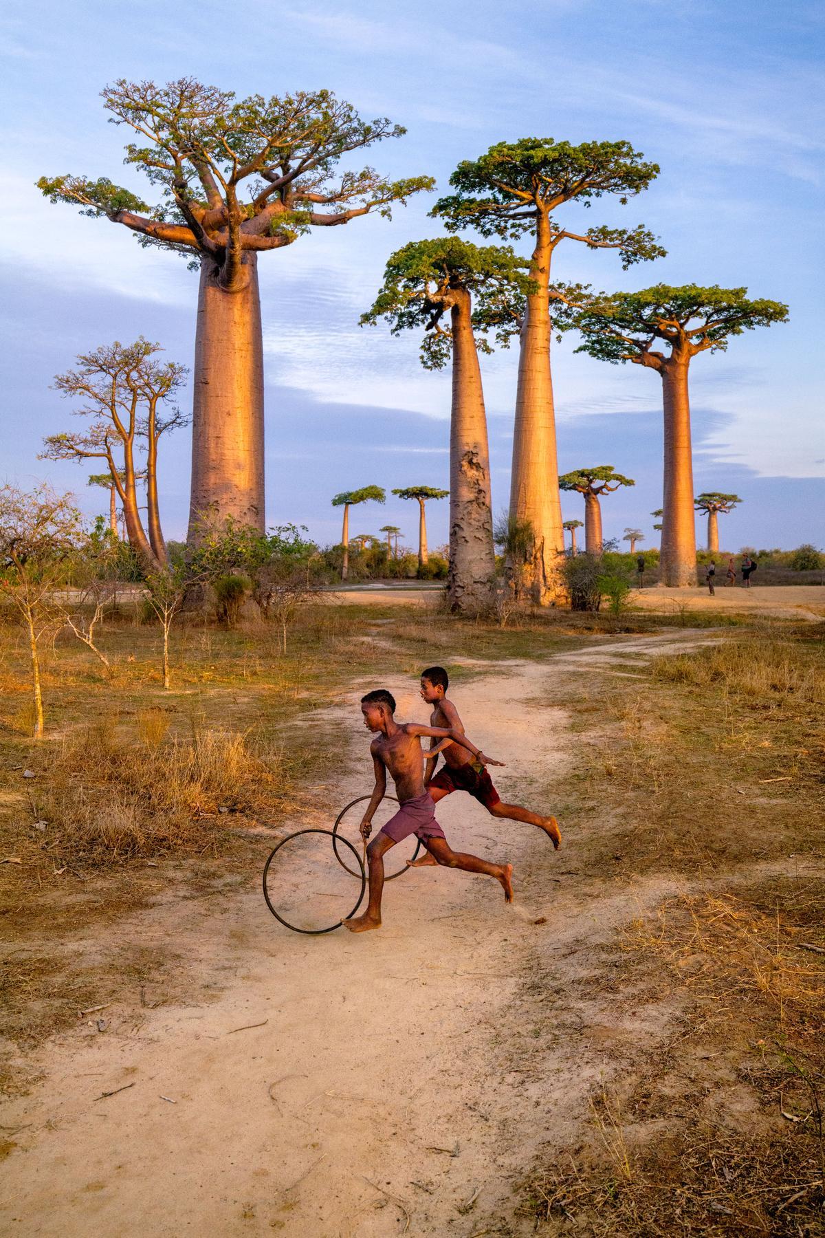 Unos niños juegan con aros, en la avenida de los baobabs, en Morondava, Madagascar. 2019.