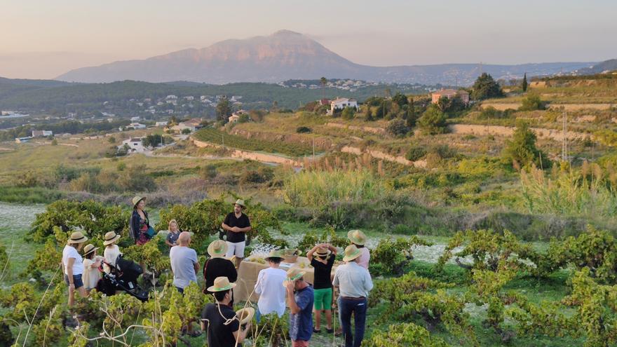 Benitatxell ‘Tasta l’estiu’ amb vins de proximitat per a connectar amb el territori