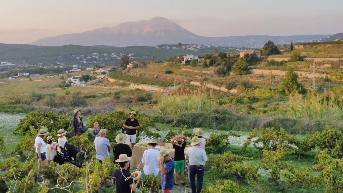 Benitatxell ‘Tasta l’estiu’ amb vins de proximitat per a connectar amb el territori