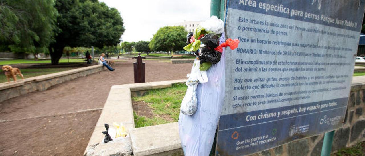 Zona para perros de un parque de la capital.