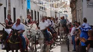 Los Piostros toman Pedroche: cientos de caballos y mulos acompañan a la Virgen de Piedrasantas