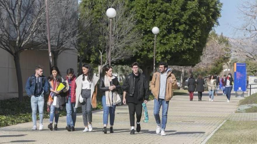 Estudiantes pasean por el campus de la Universidad de Alicante.