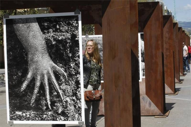 GALERÍA GRÁFICA / 'Génesis', exposición de Sebastiao Salgado en el Bulevar