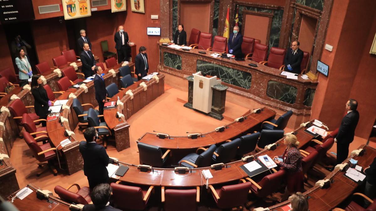 Los diputados guardan un minuto de silencio por las víctimas de la pandemia.