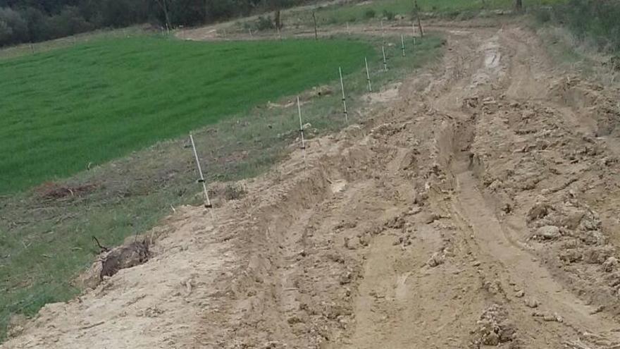 Aspecte dels camins poc després de cap de setmana