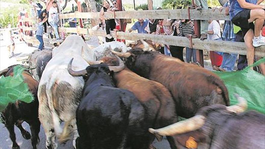 Toros y deportes protagonizan el ecuador de las fiestas de Orpesa