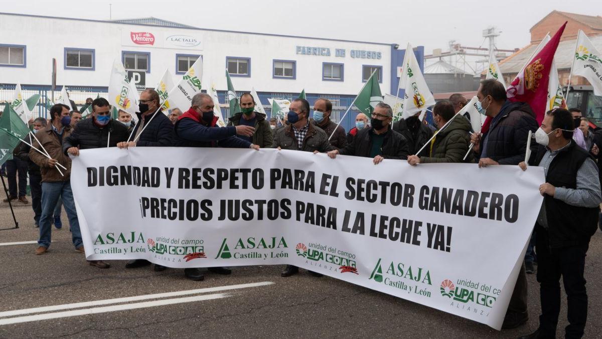 Los ganaderos de vacuno de leche, con los líderes agrarios de Castilla y León a la cabeza “toman” la carretera de Villalpando junto a la empresa Lactalis. | José Luis Fernández