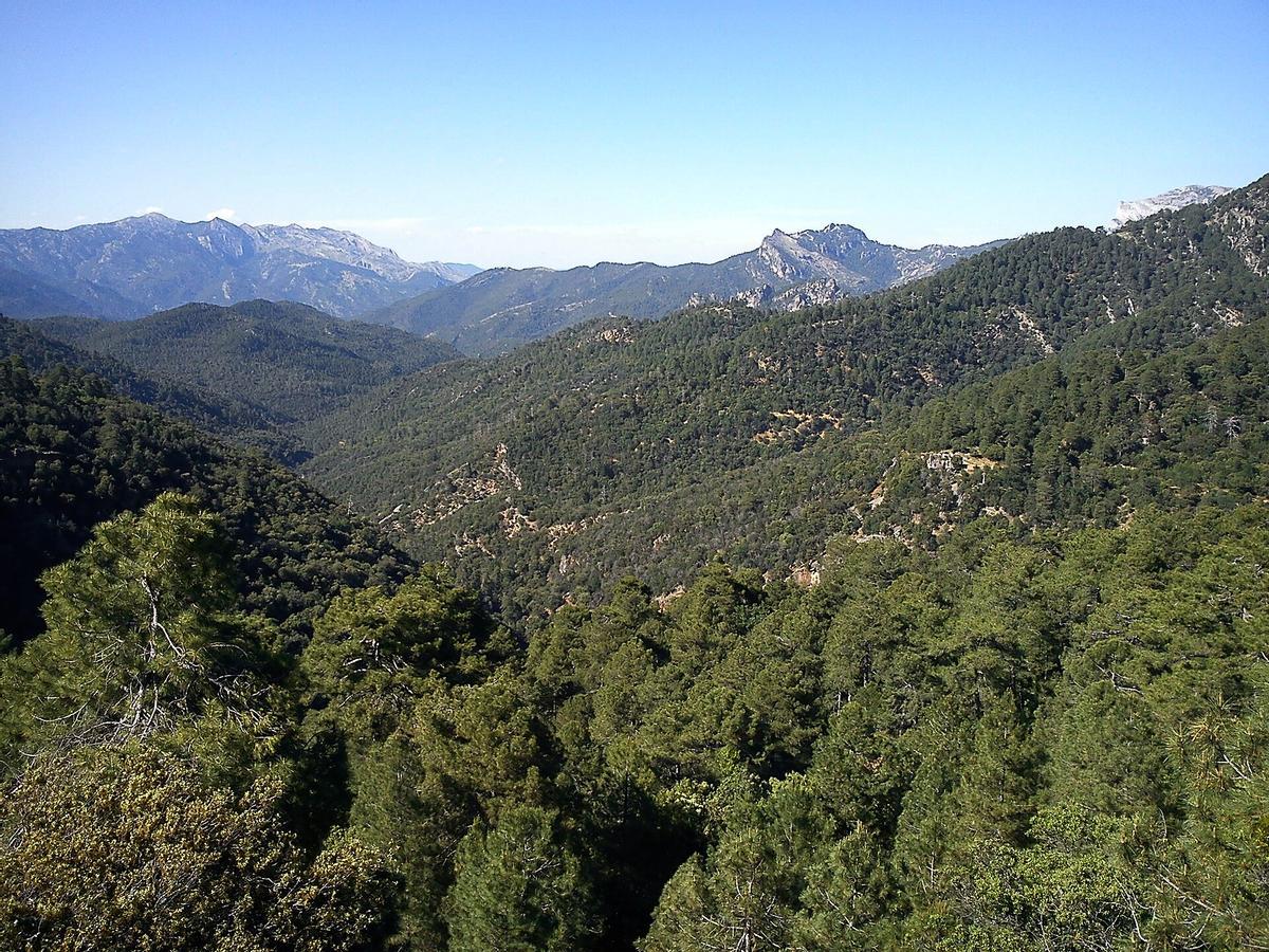 Sierra de Segura