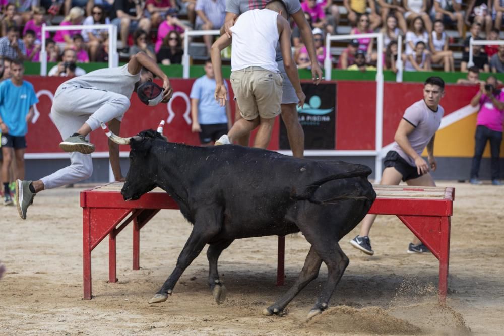 Vidreres celebra els correbous entre les protestes dels animalistes