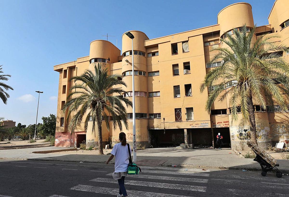 El barrio de los Palmerales de Elche, en imagen del pasado año. | ANTONIO AMORÓS
