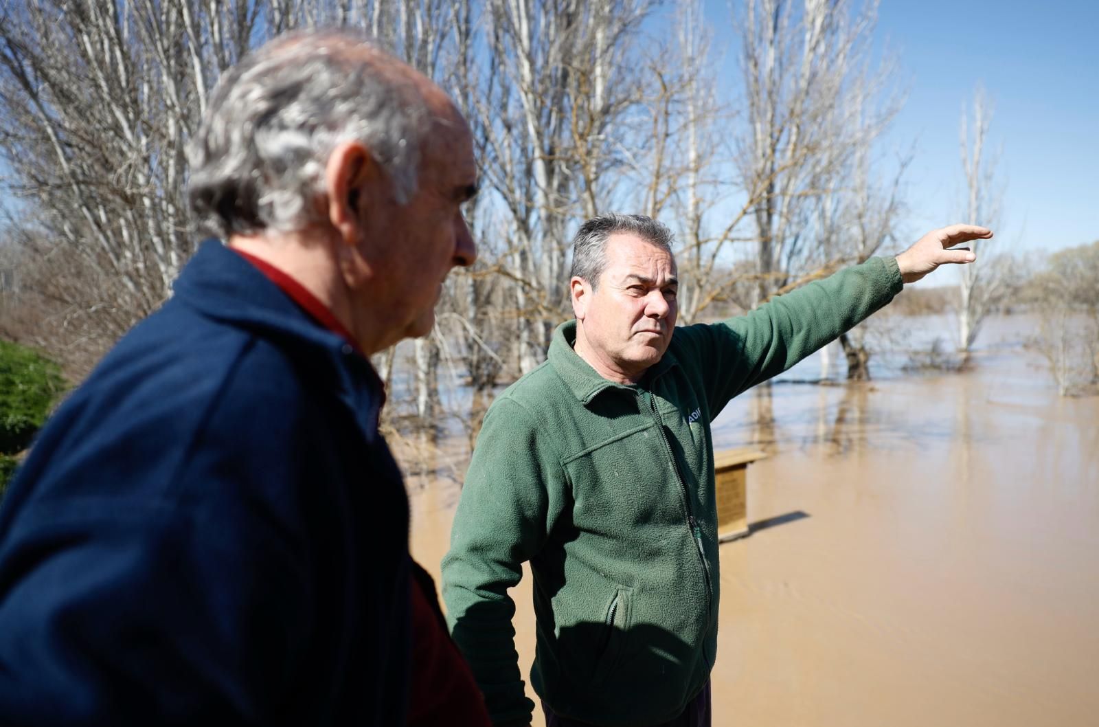 En imágenes | Así transcurre la crecida del Ebro a su paso por Aragón
