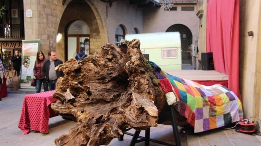 Solsona exhibeix els seus tions més genuïns